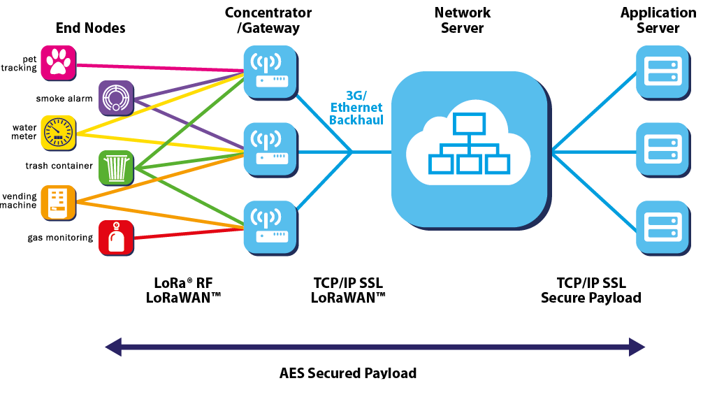 Network Architecture